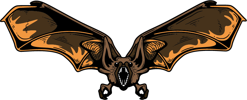 Morcego Halloween PNG Image HQ
