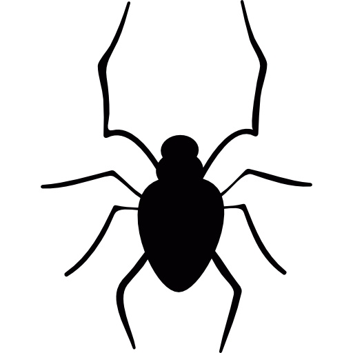 Spider Halloween Free PNG Image