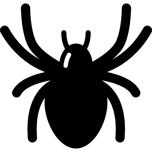 Spider Halloween PNG Foto HQ