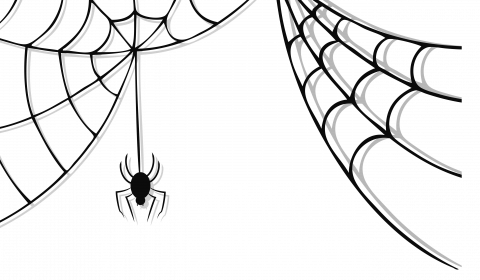 Spider Halloween PNG Gambar HQ