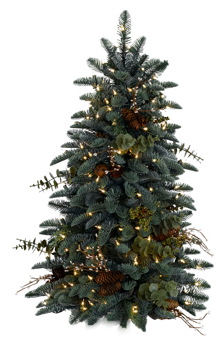 Дерево рождественские прозрачные изображения