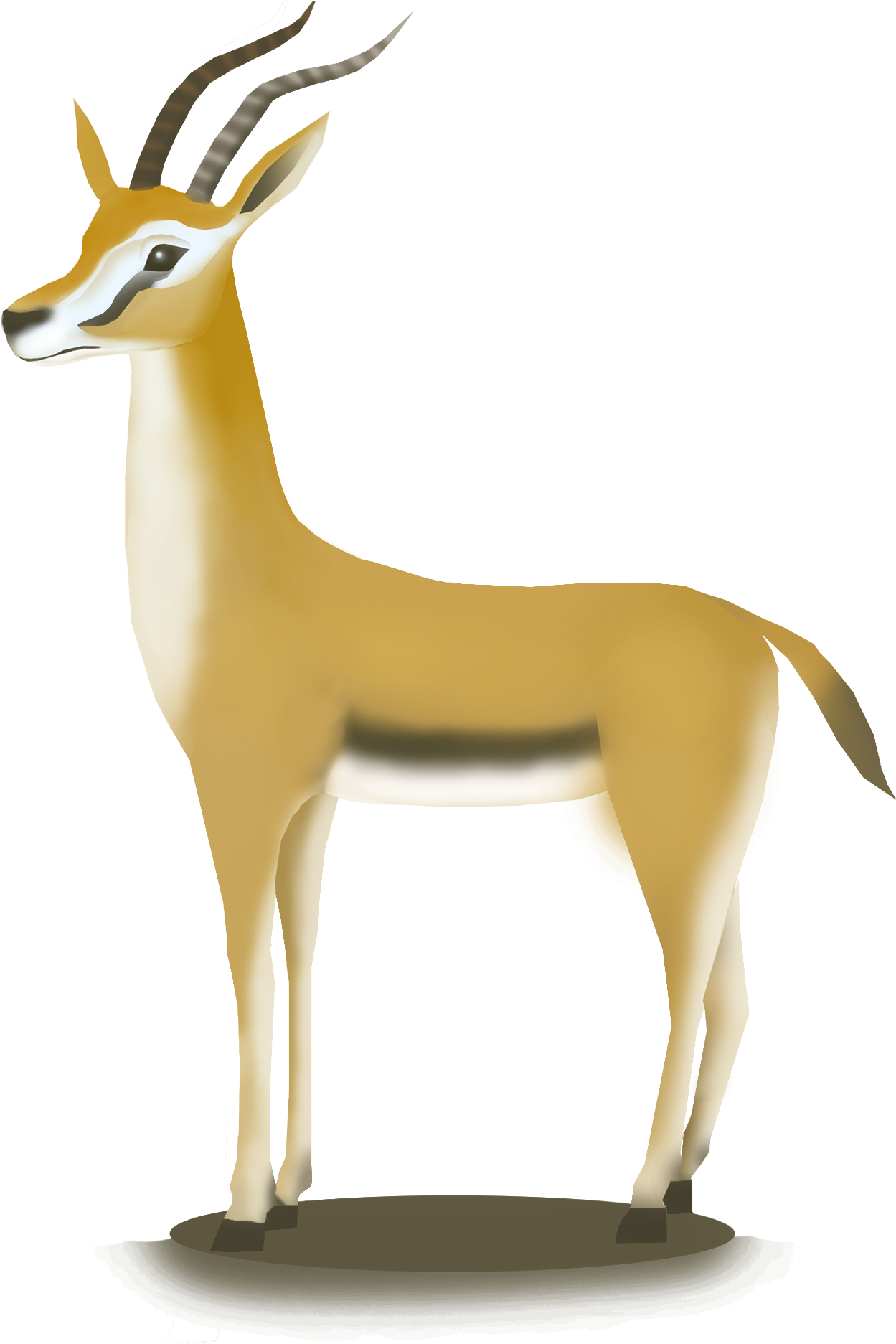 Gazelle antílope PNG hq Pic