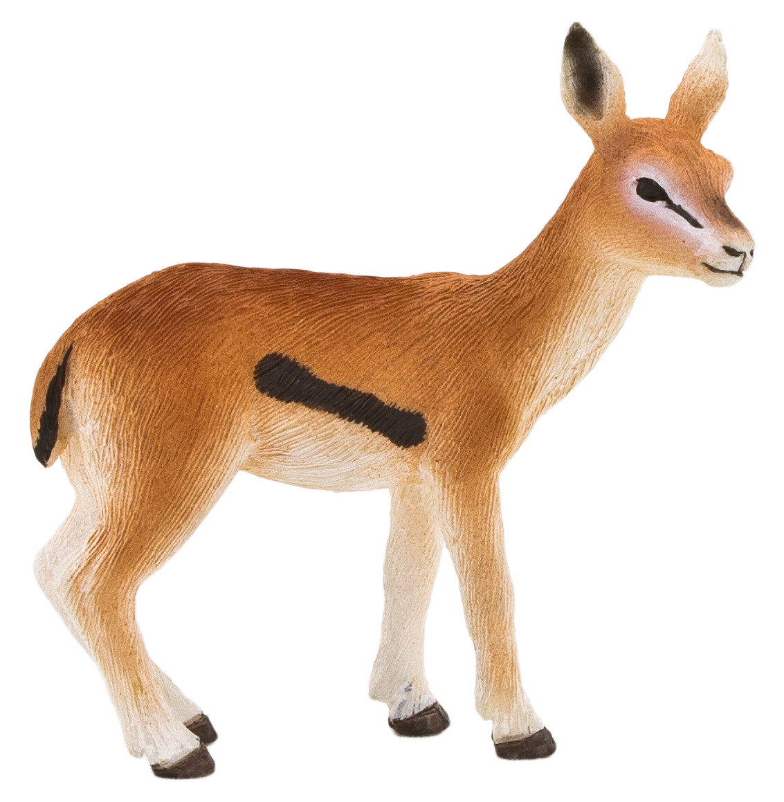 Gazelle Antelope PNG HQ картина