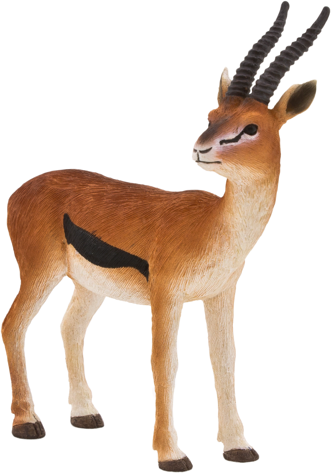 Gazelle Antelope PNG