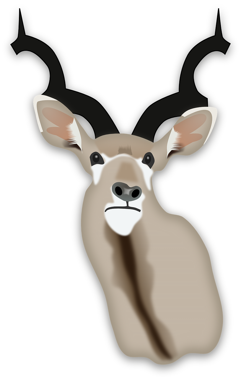 Gazelle Antelope 투명한 본체