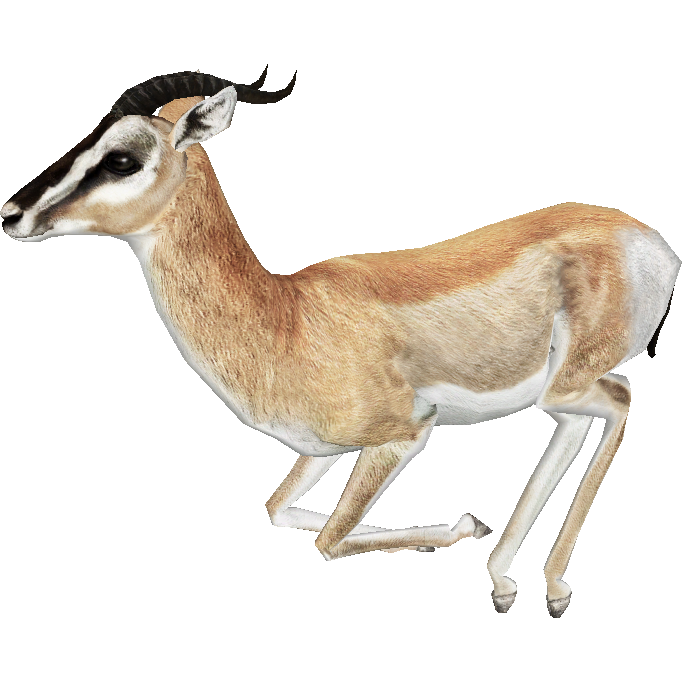 Gazelle Kostenloses PNG-Bild