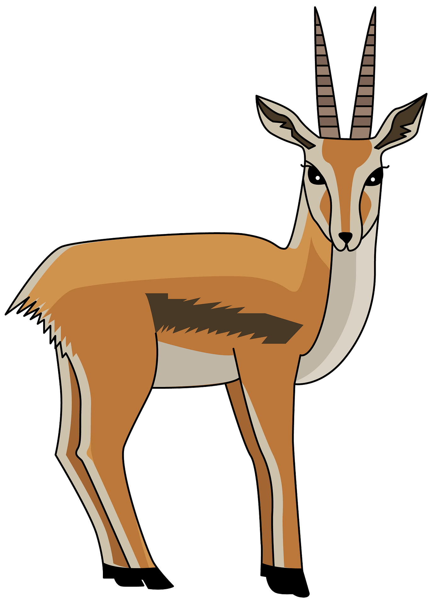 Gazelle прозрачные изображения