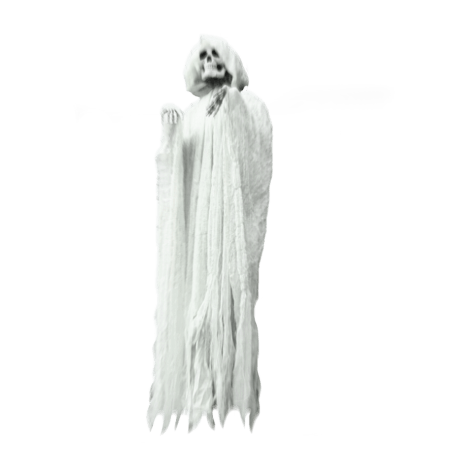 Ghost Vector Transparent
