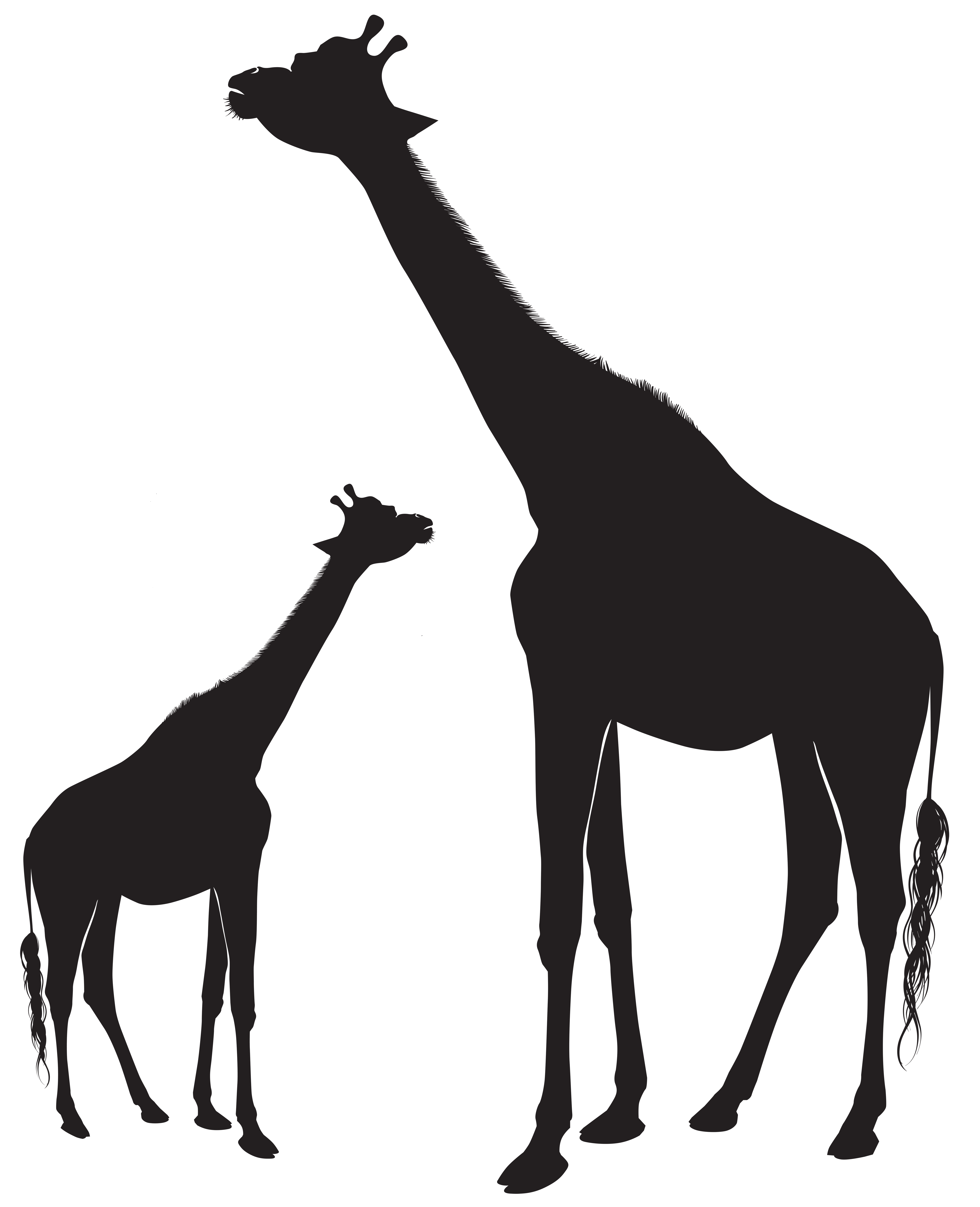 Giraffe silhouet PNG Pic