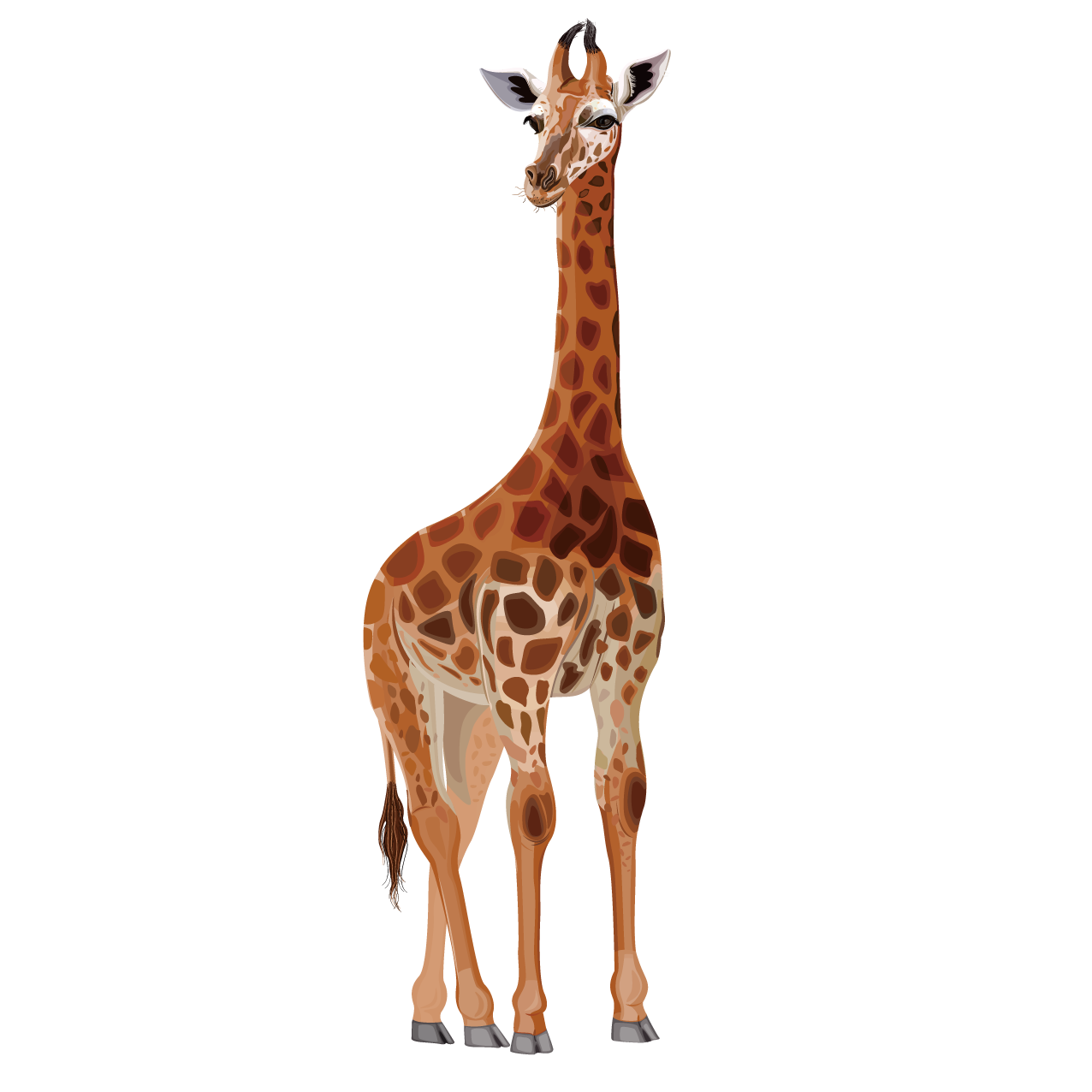 Giraffe Transparant HQ