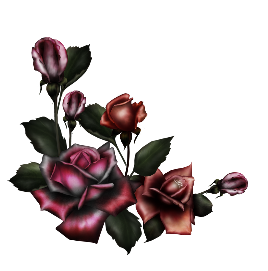 Gothic Rose PNG HQ Pic