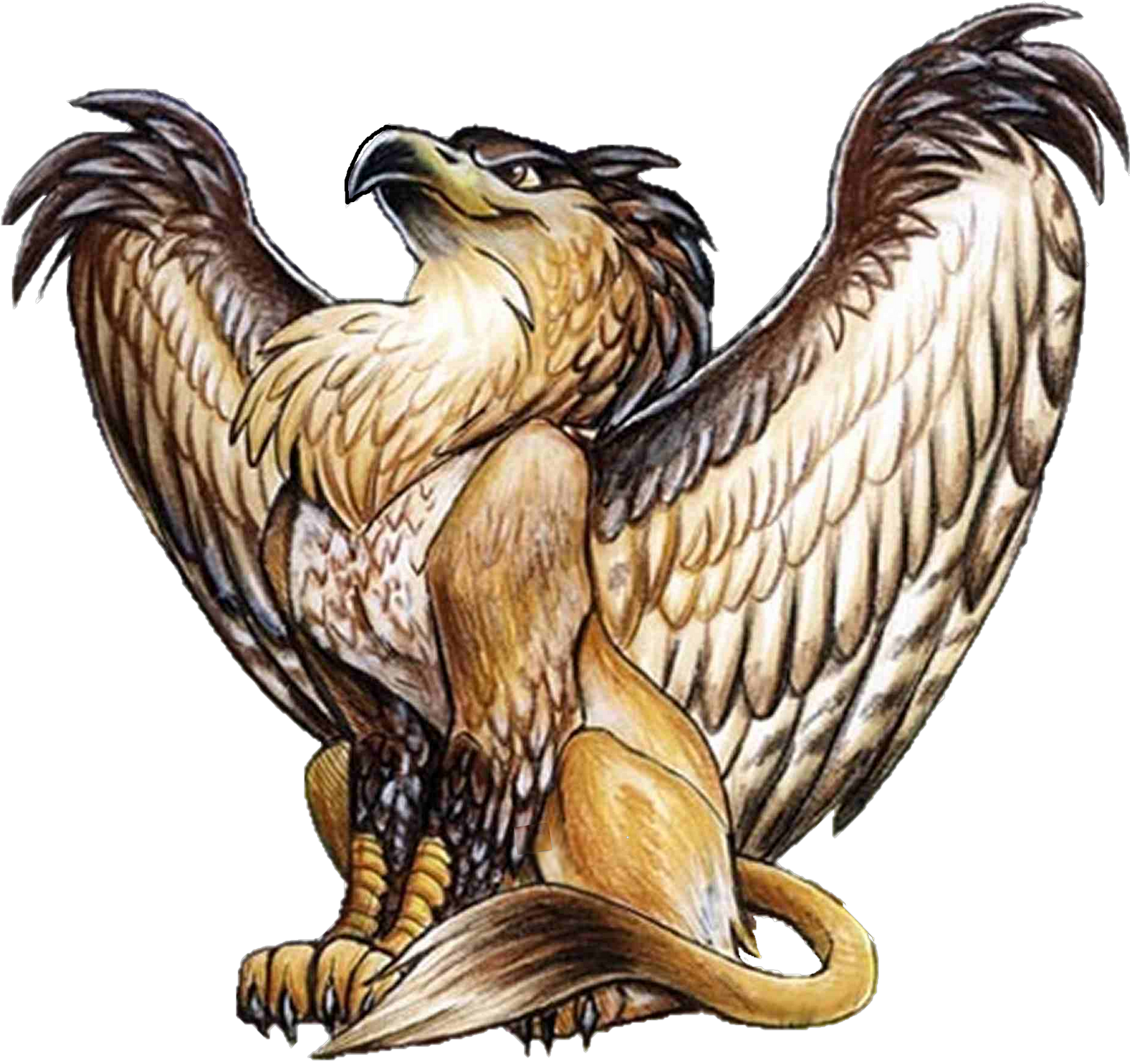 Griffin Fantasy PNG HQ Picture