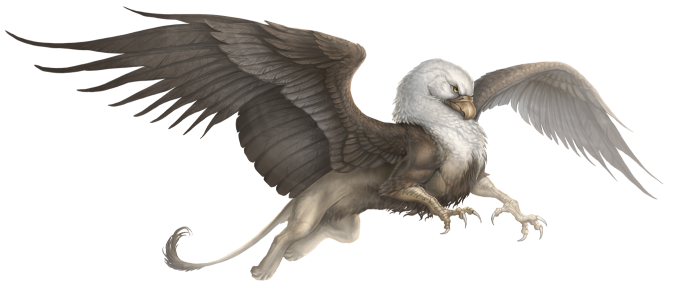 Griffin Fantasy PNG Photo HQ