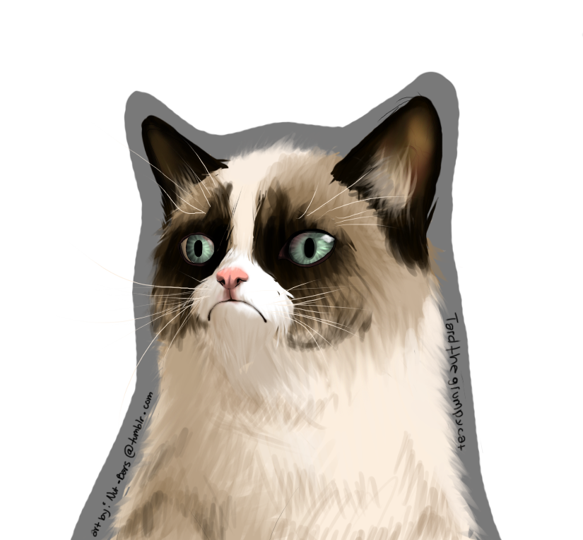 Grumpy Cat Download PNG Image