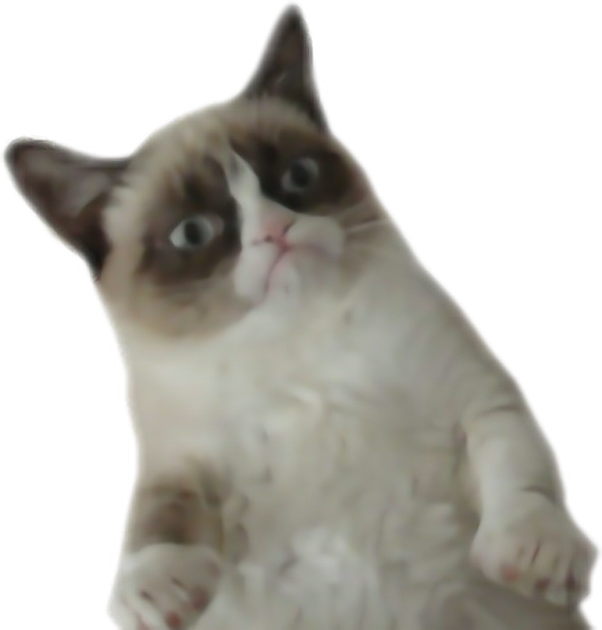Grumpy Cat Free PNG HQ Image