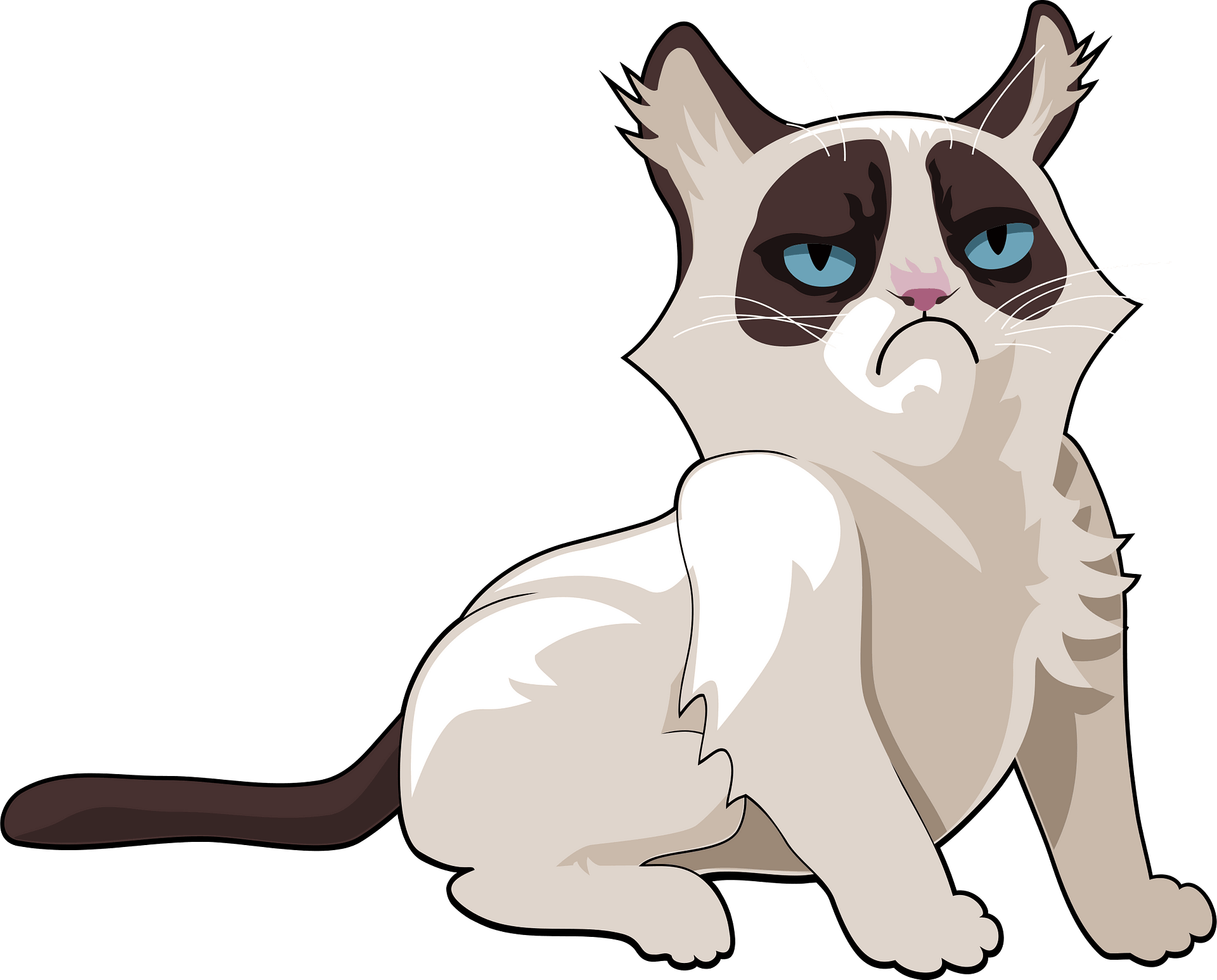 Grumpy Cat Meme PNG Download Image