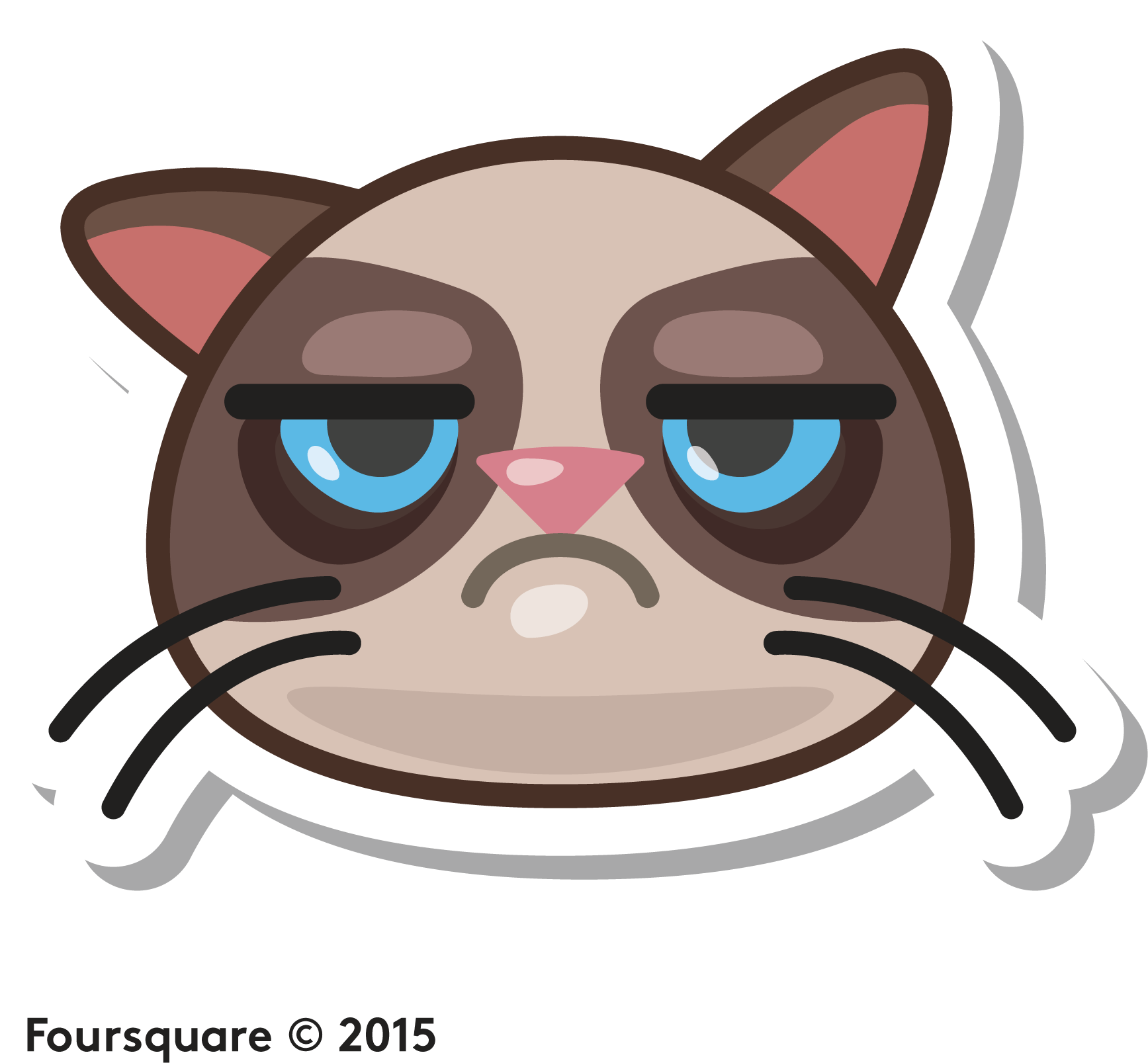 Grumpy Cat Meme PNG HQ Photo
