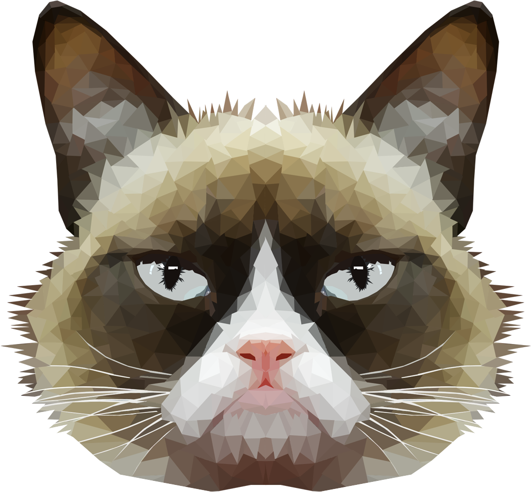 Grumpy Cat Meme PNG HQ Picture