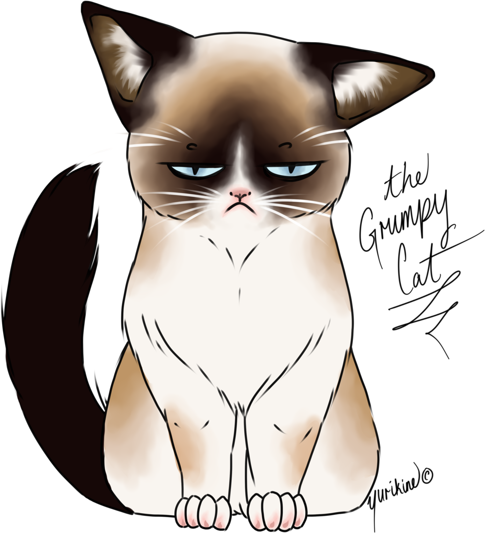 Grumpy Cat Meme PNG Image HQ