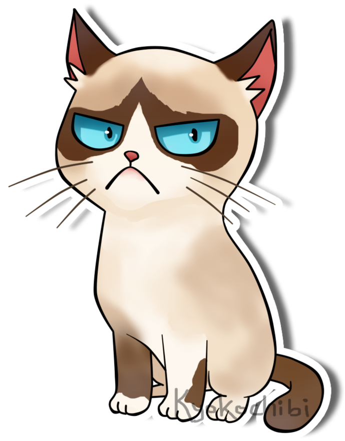 Grumpy Cat Meme PNG Pic HQ