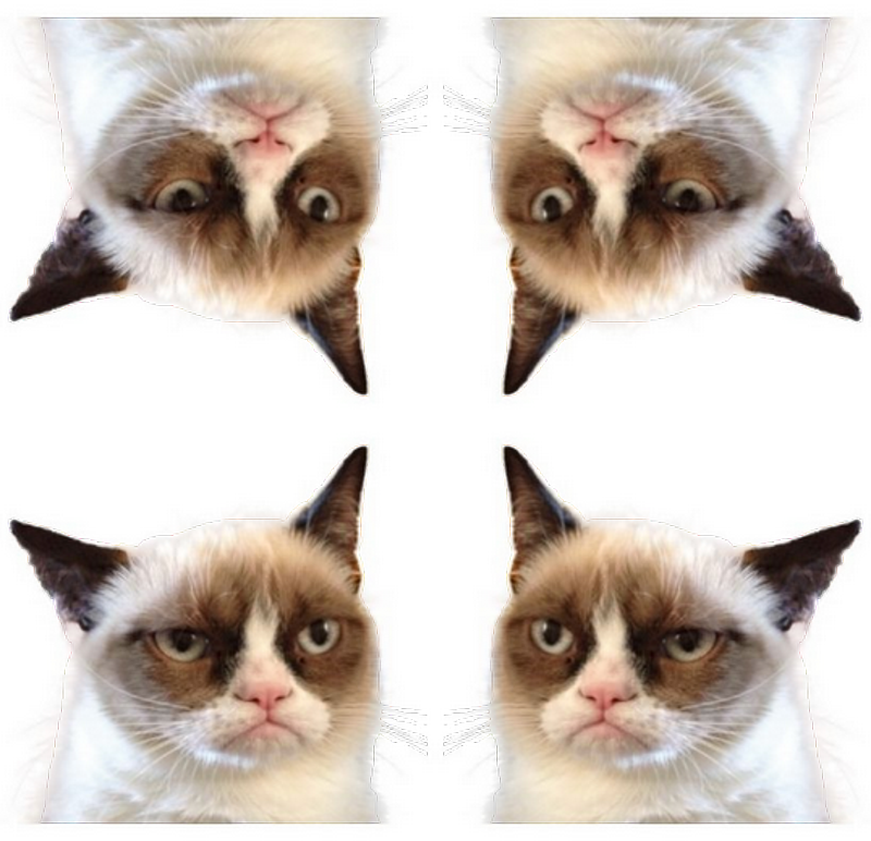 Grumpy Cat Meme PNG Pic