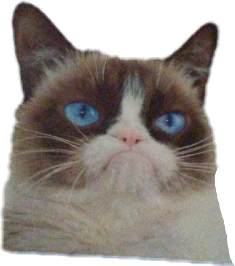 Grumpy Cat Meme PNG Picture