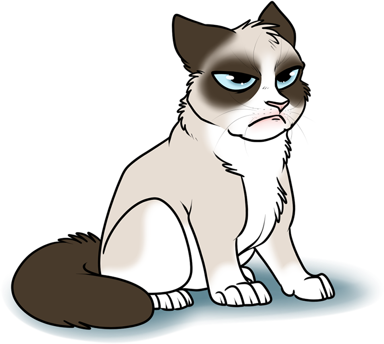 Grumpy Cat Meme Transparent