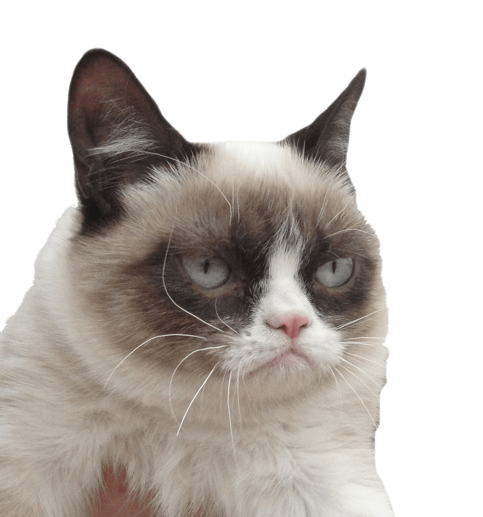 Grumpy Cat PNG Image HQ
