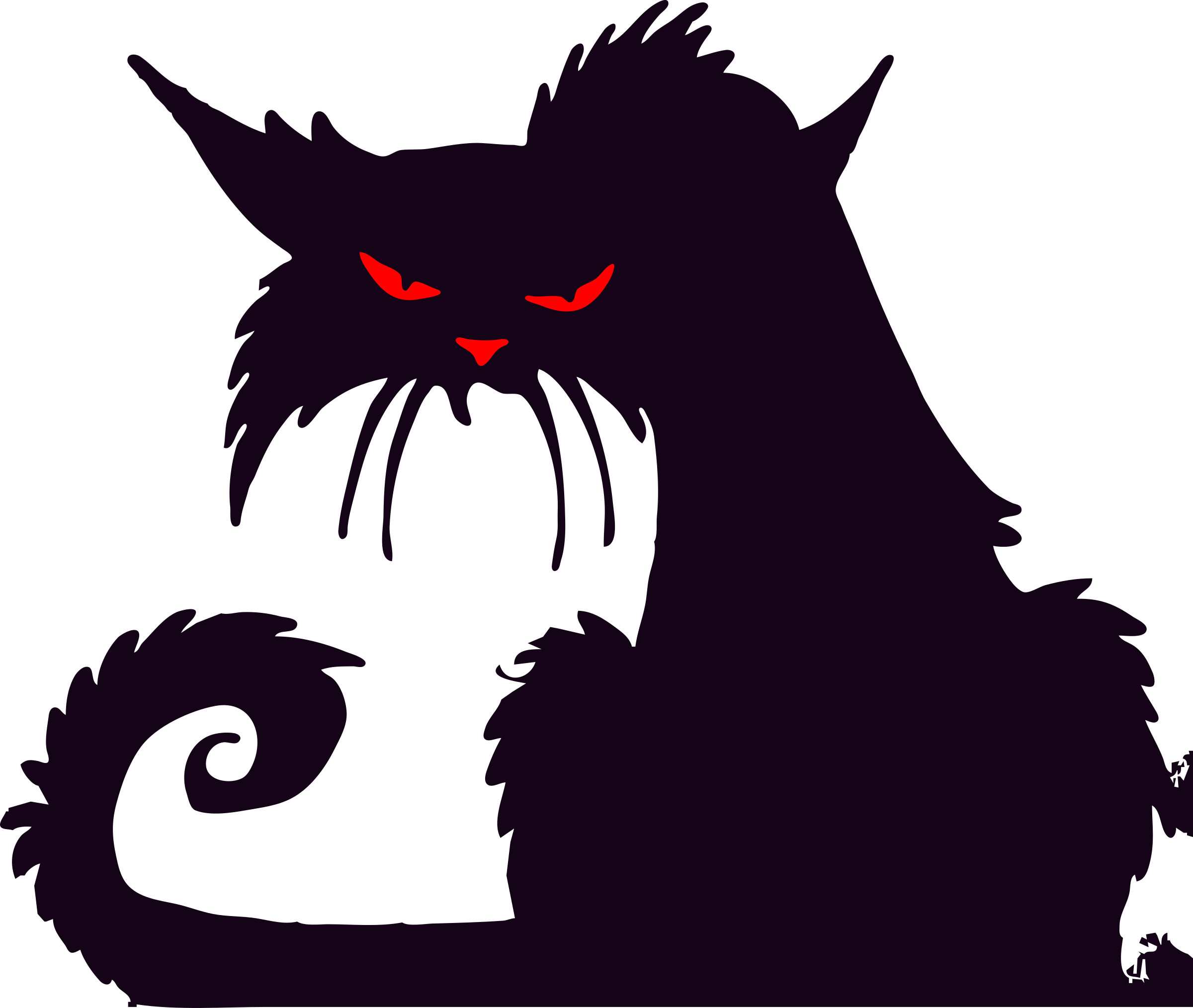 Grumpy Cat PNG Pic