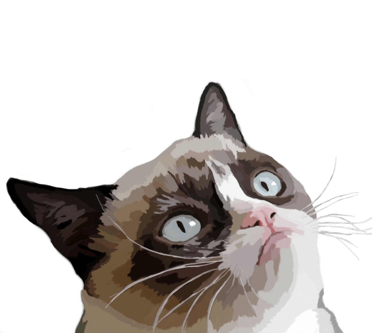 Grumpy Cat PNG Picture