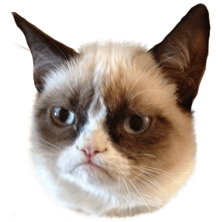 Grumpy Cat Transparent
