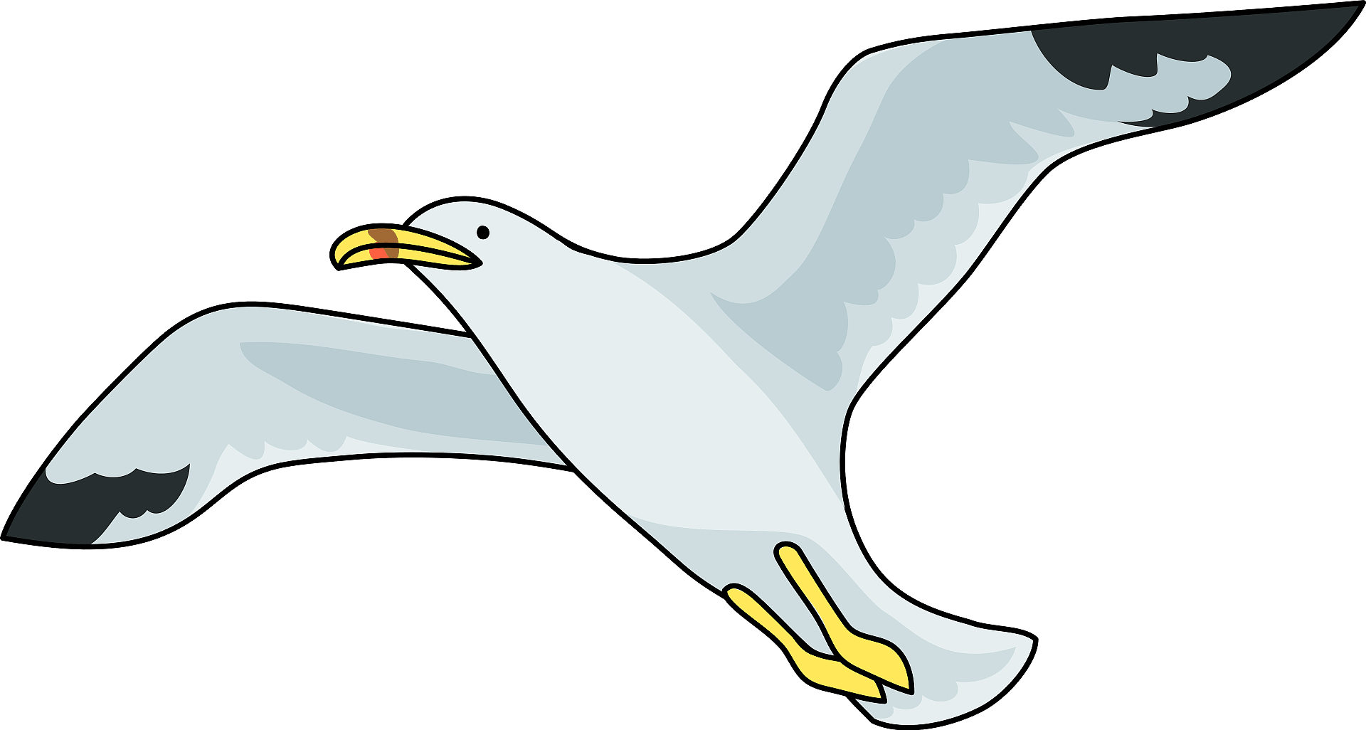 Gull PNG Download Image