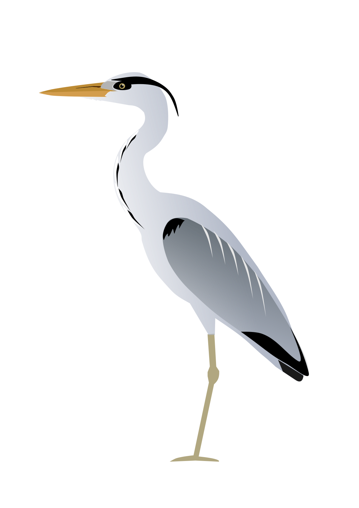 Heron vector PNG image