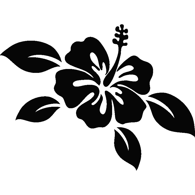 Hibiscus Flower Botany PNG