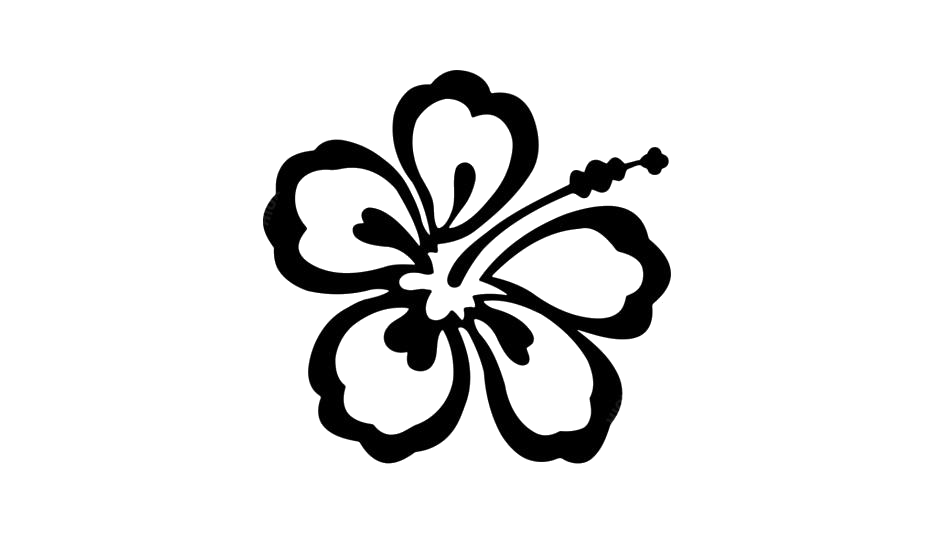 Hibiscus Flower Drawing PNG