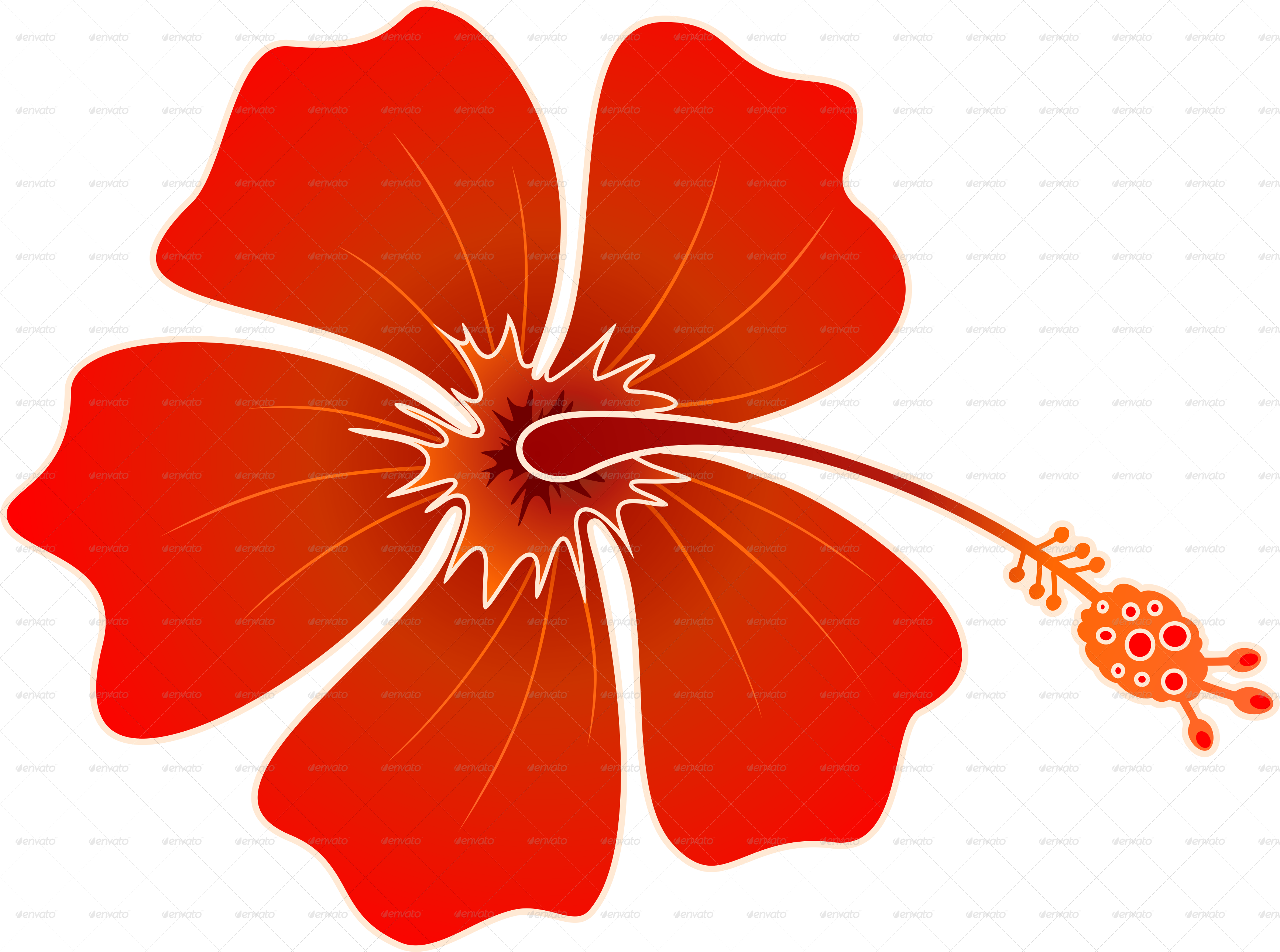 Hibiscus Flower Floral PNG