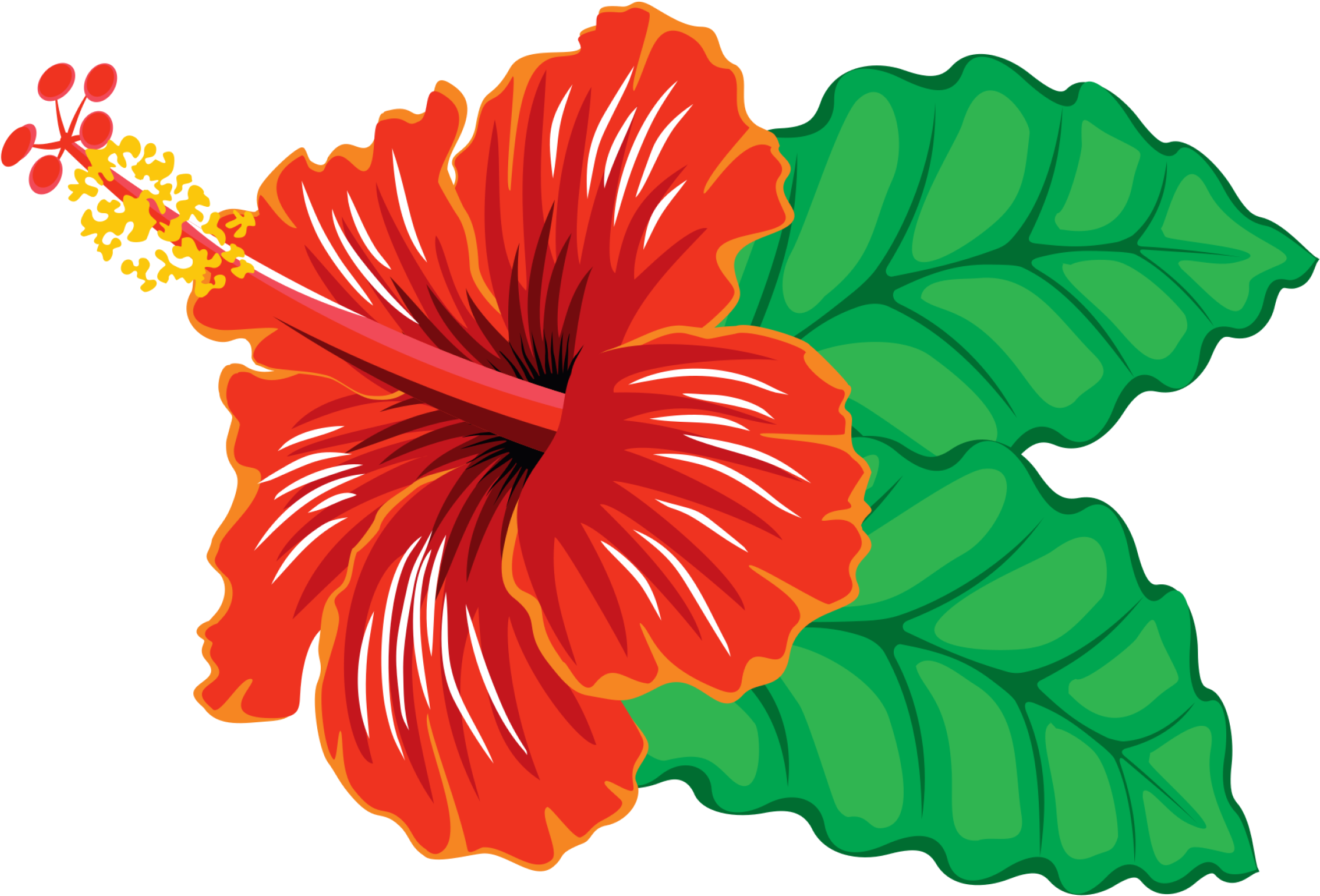 Hibiscus Flower Hand PNG