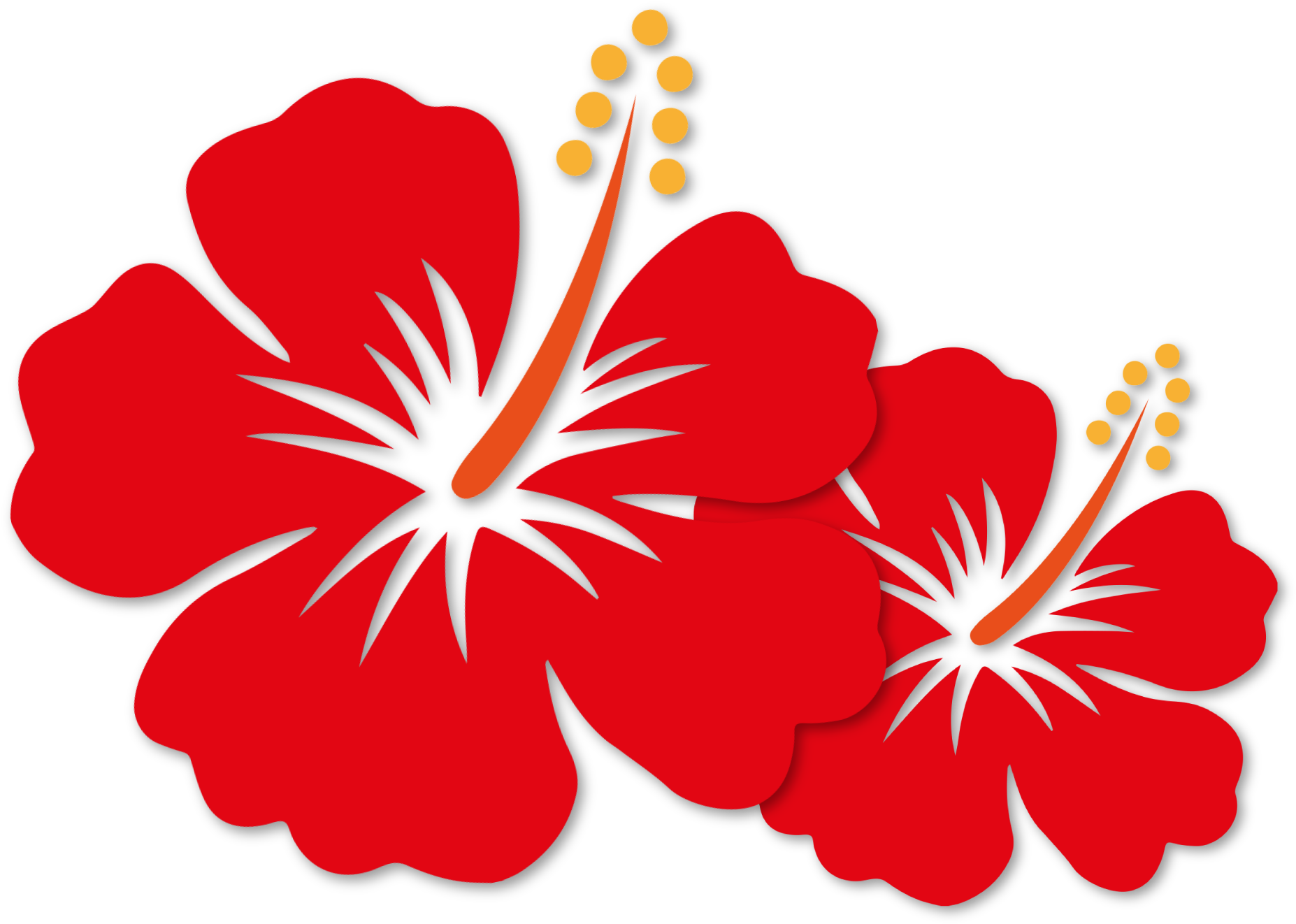 Hibiscus Flower Line PNG