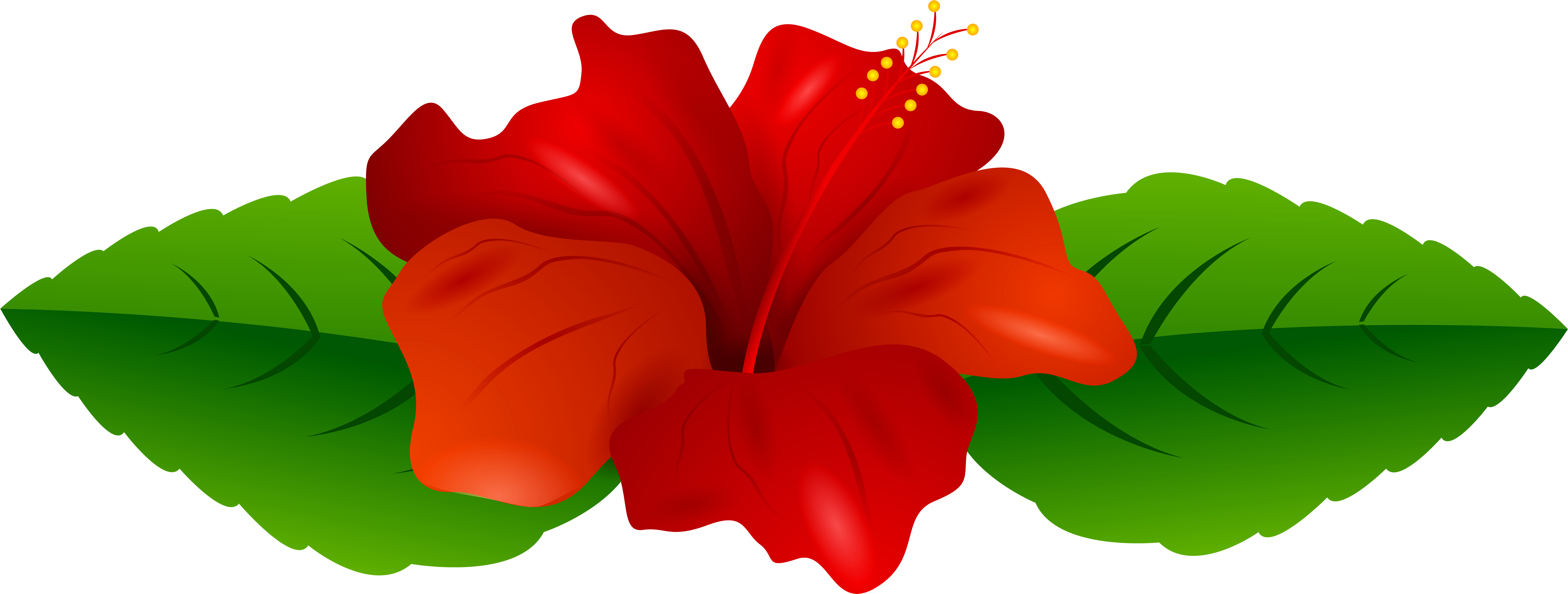 Hibiscus Flower Silhouette PNG