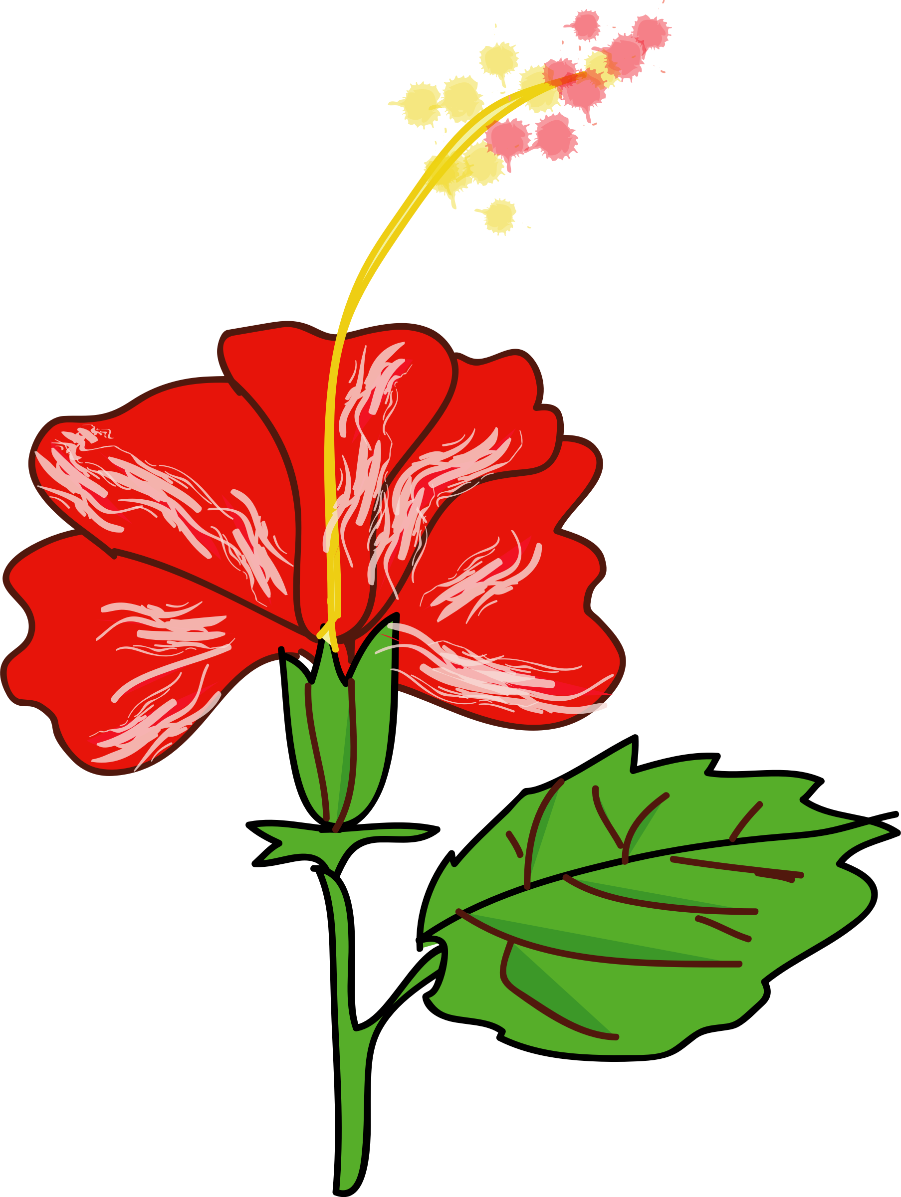 Hibiscus Flower Vector PNG