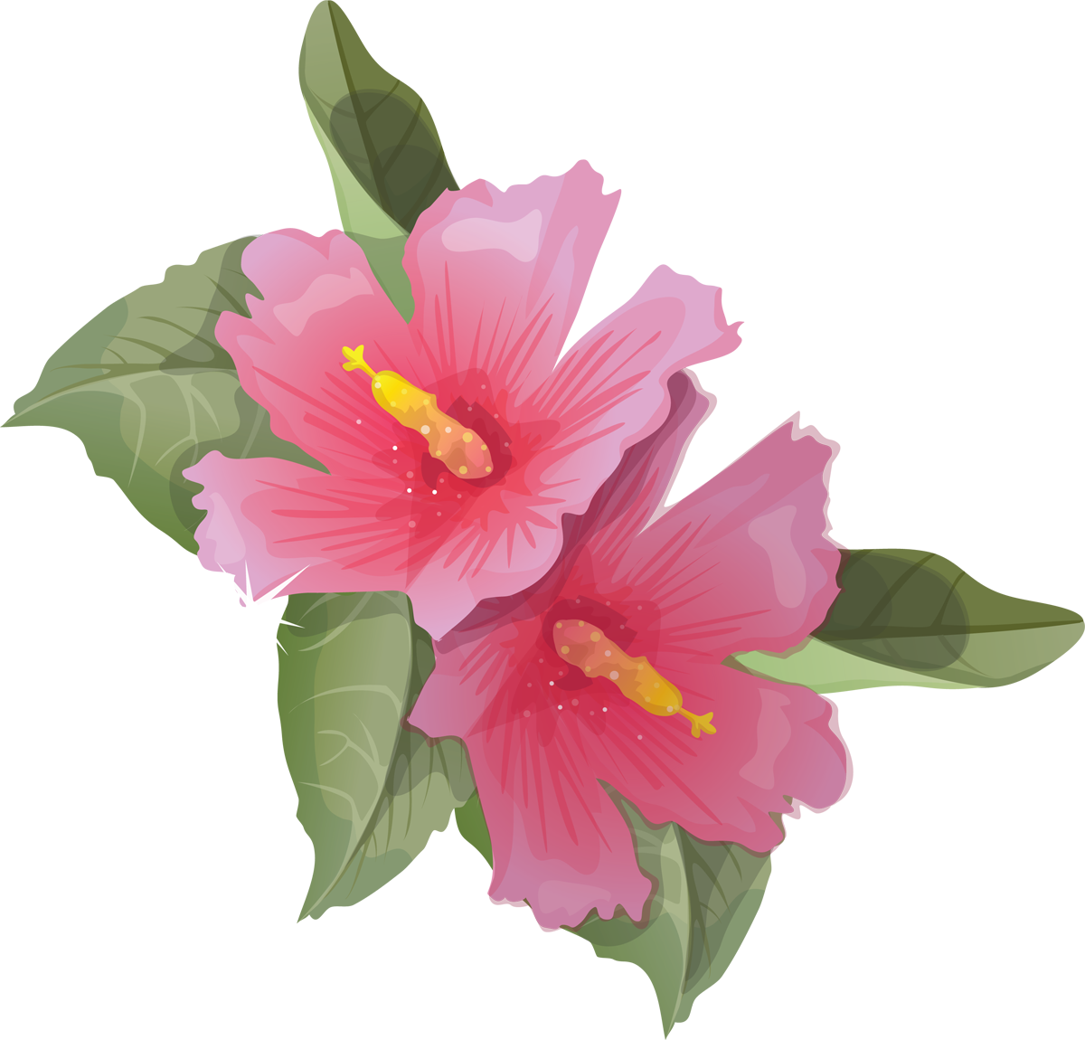 Hibiscus Icon PNG