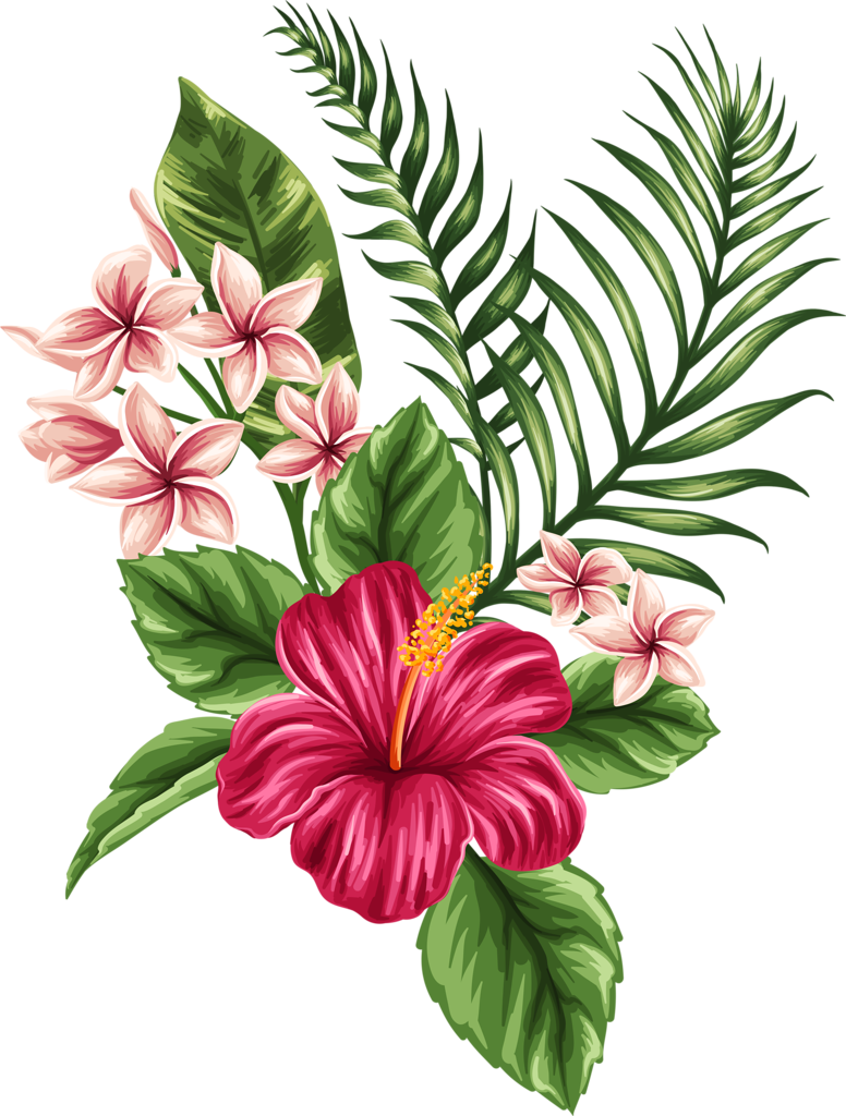 Hibiscus Mark PNG
