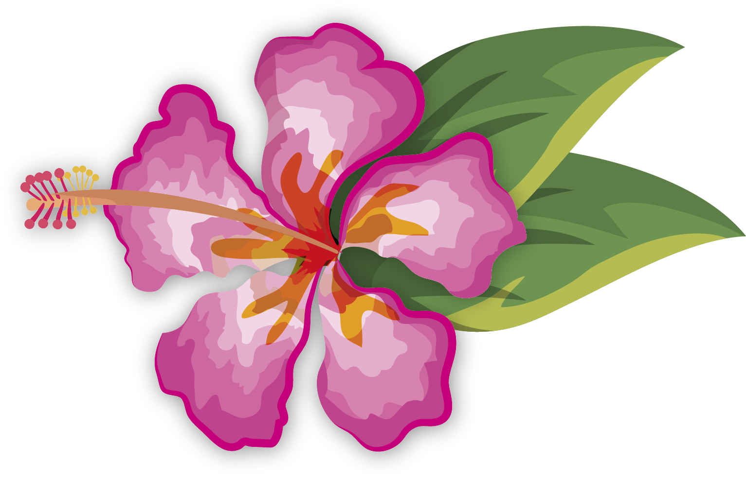 Hibiscus Tropical PNG