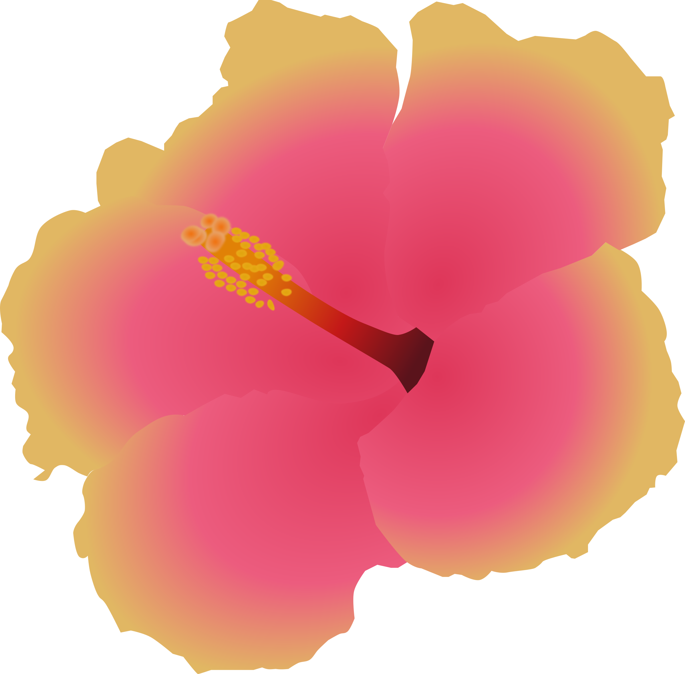 Hibiscus Vector PNG