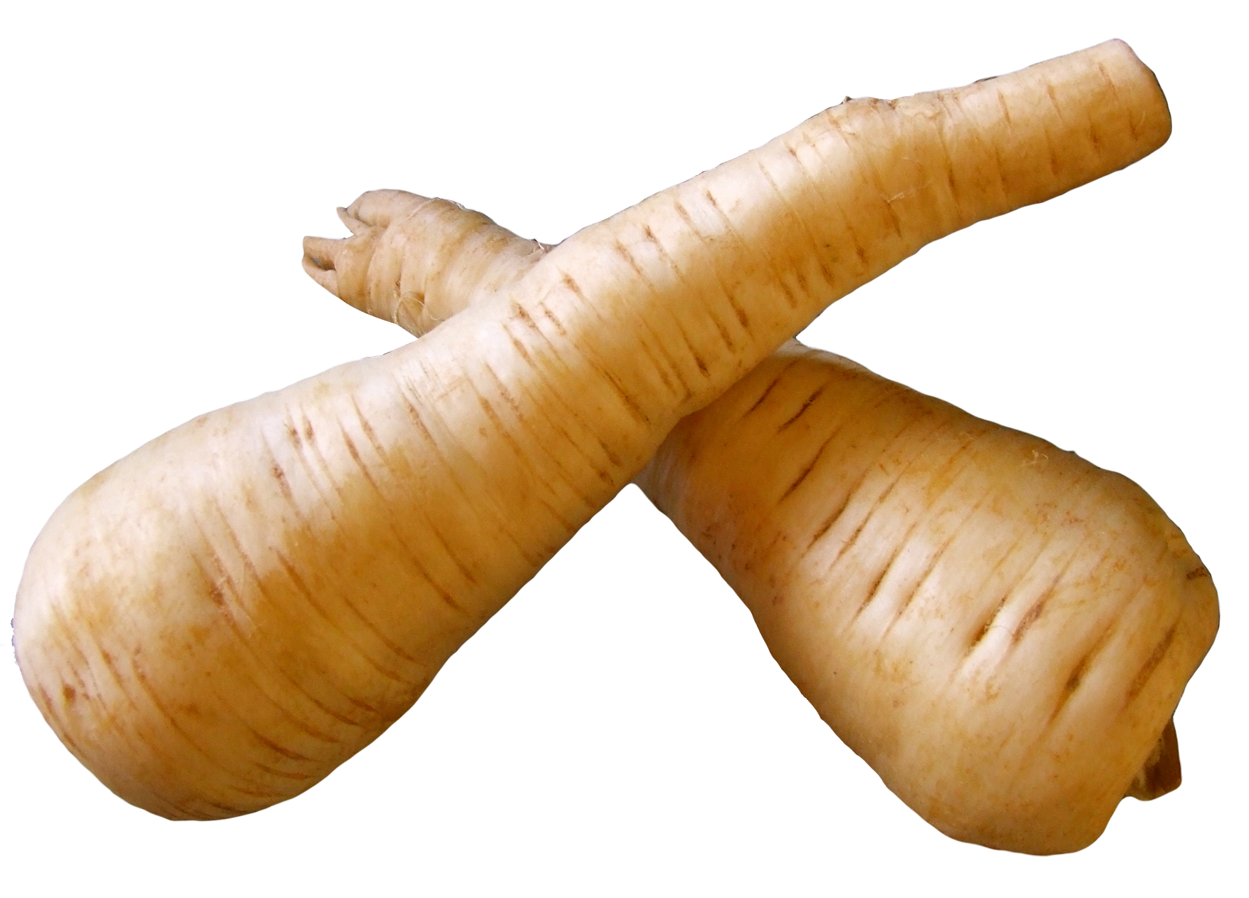 Horseradish Agronomy PNG