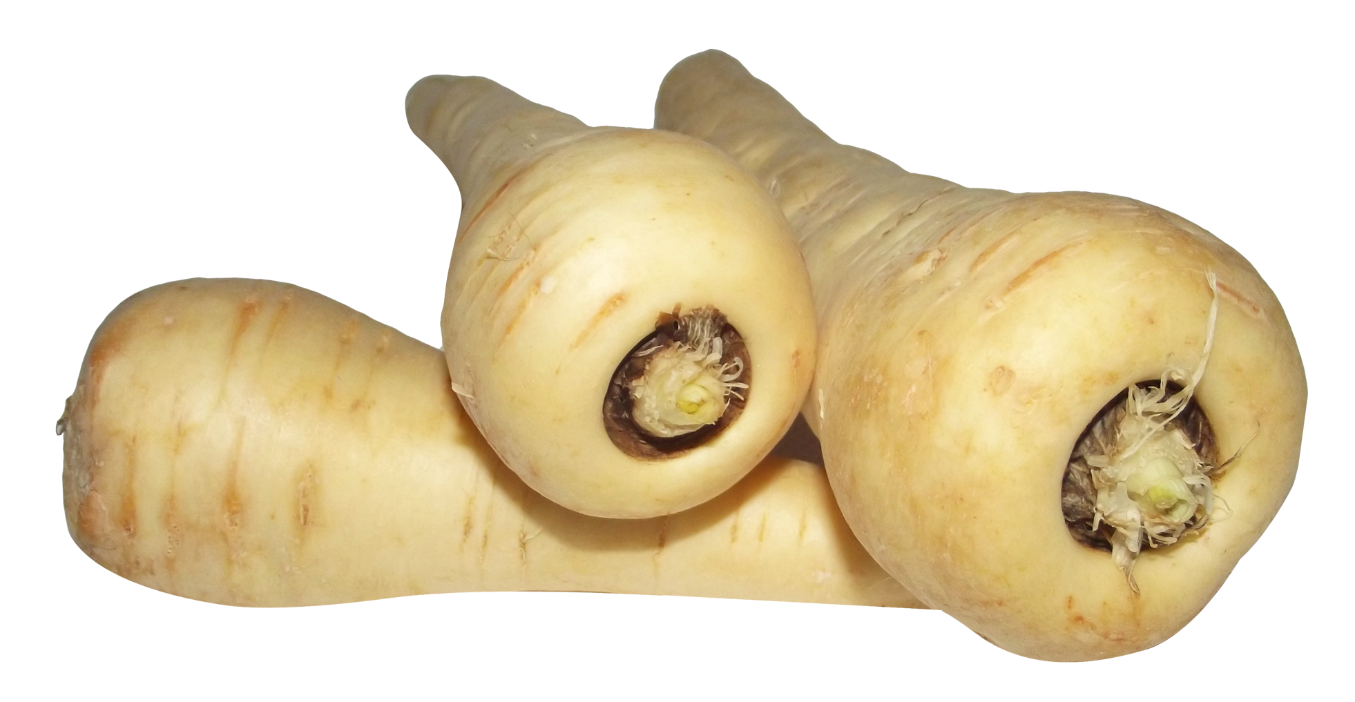 Horseradish Green PNG