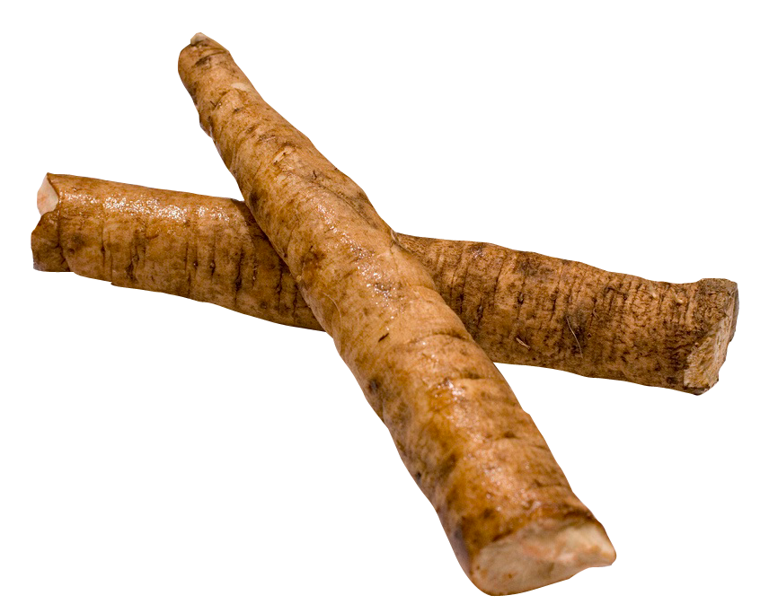 Horseradish Ground PNG