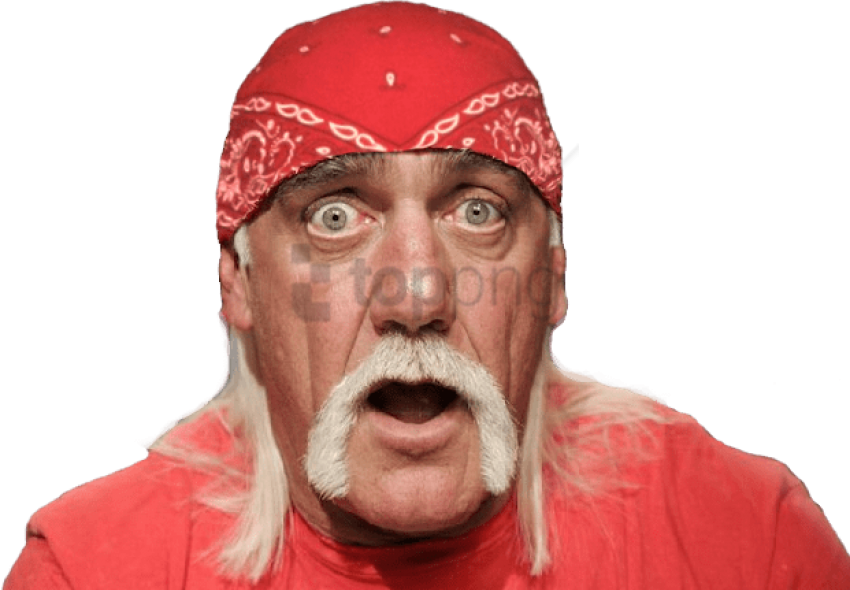 Hulk Hogan PNG HQ Pic