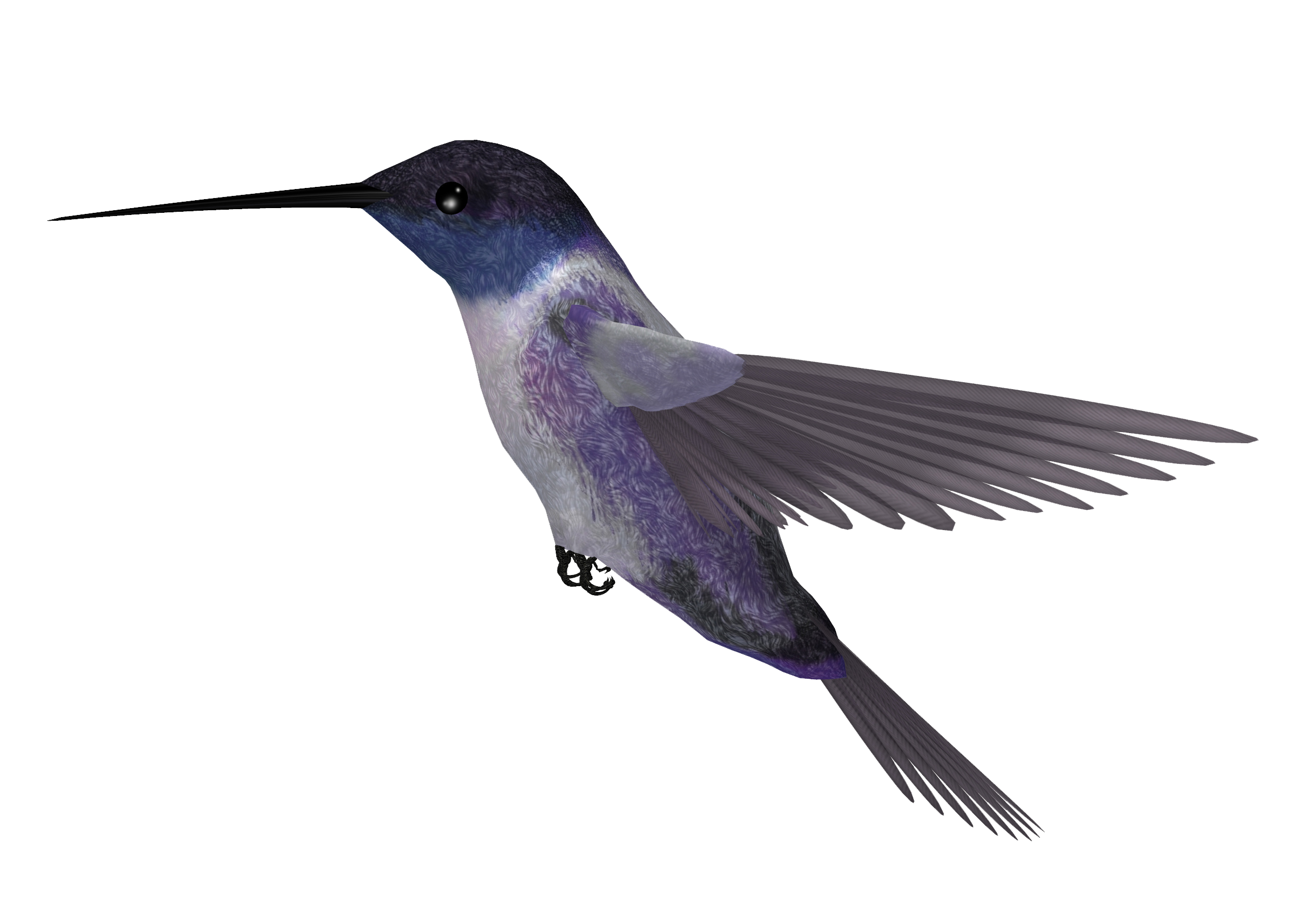 Hummingbird Download PNG-Bild
