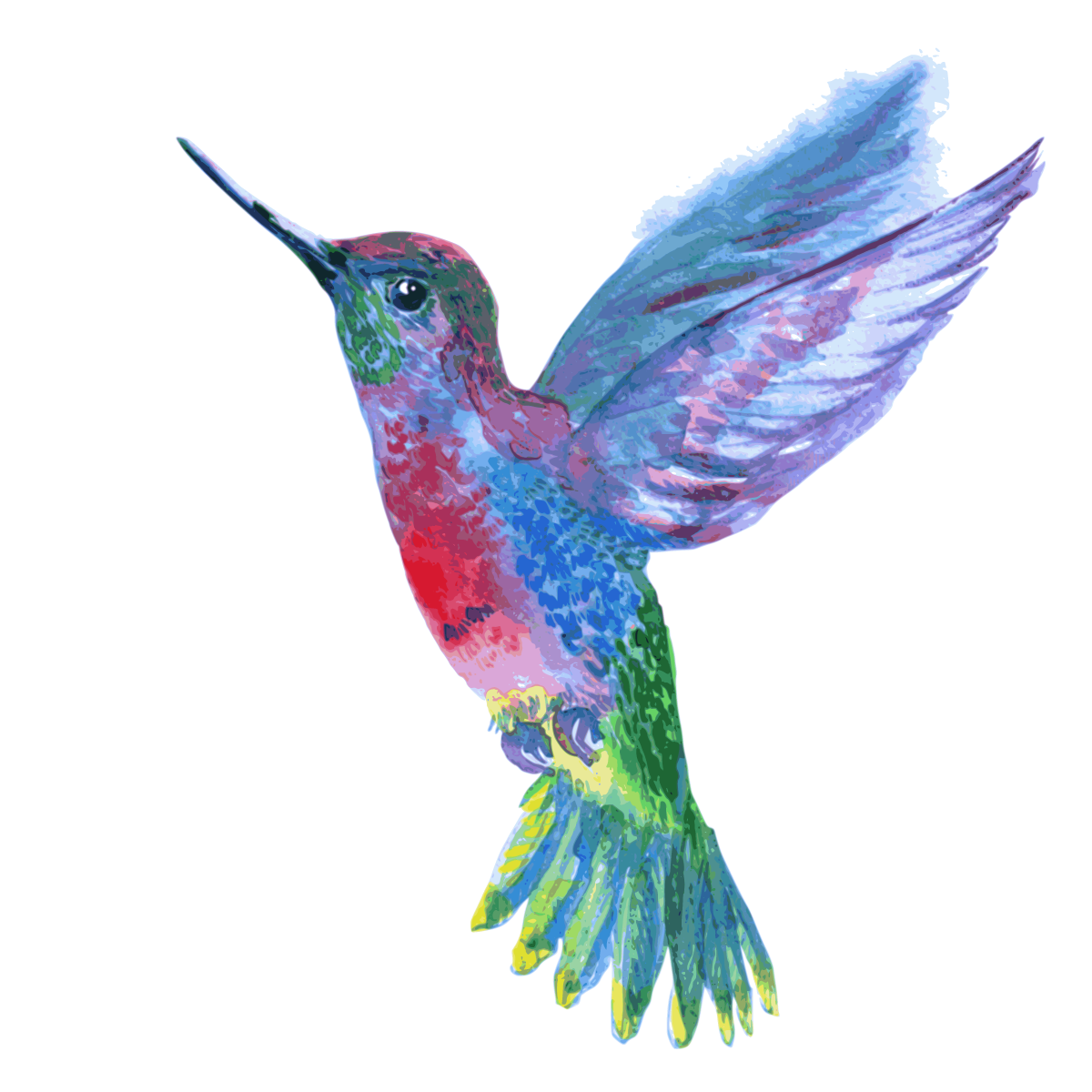 Hummingbird PNG foto hq